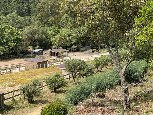 Centre equestre 3 - Attribut alt par défaut.